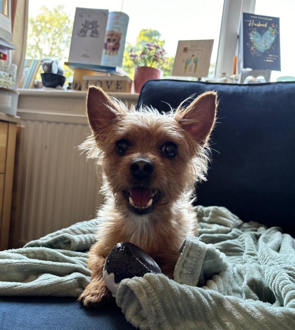 Toby profile picture